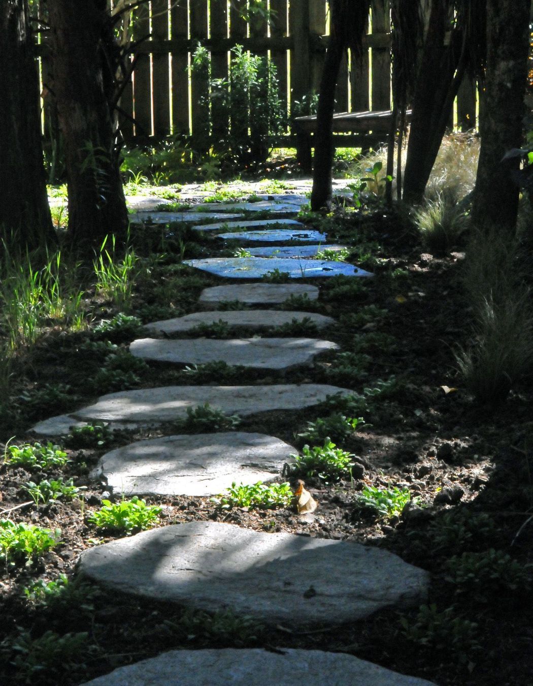 Natural stone stepping stones lead through the kanuka glade which features all native planting of grasses, ferns and understorey shrubs