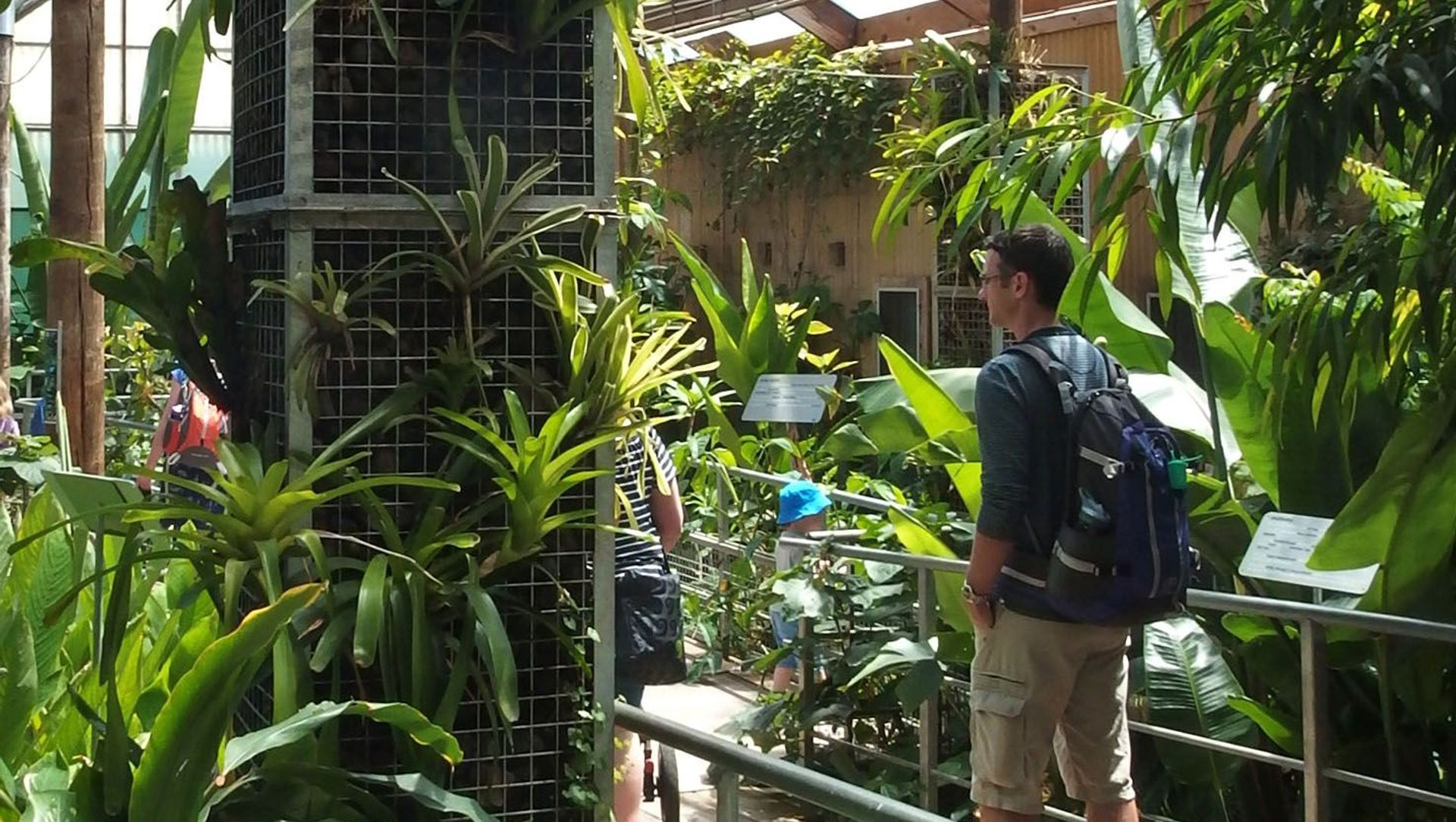 Butterfly Creek banner