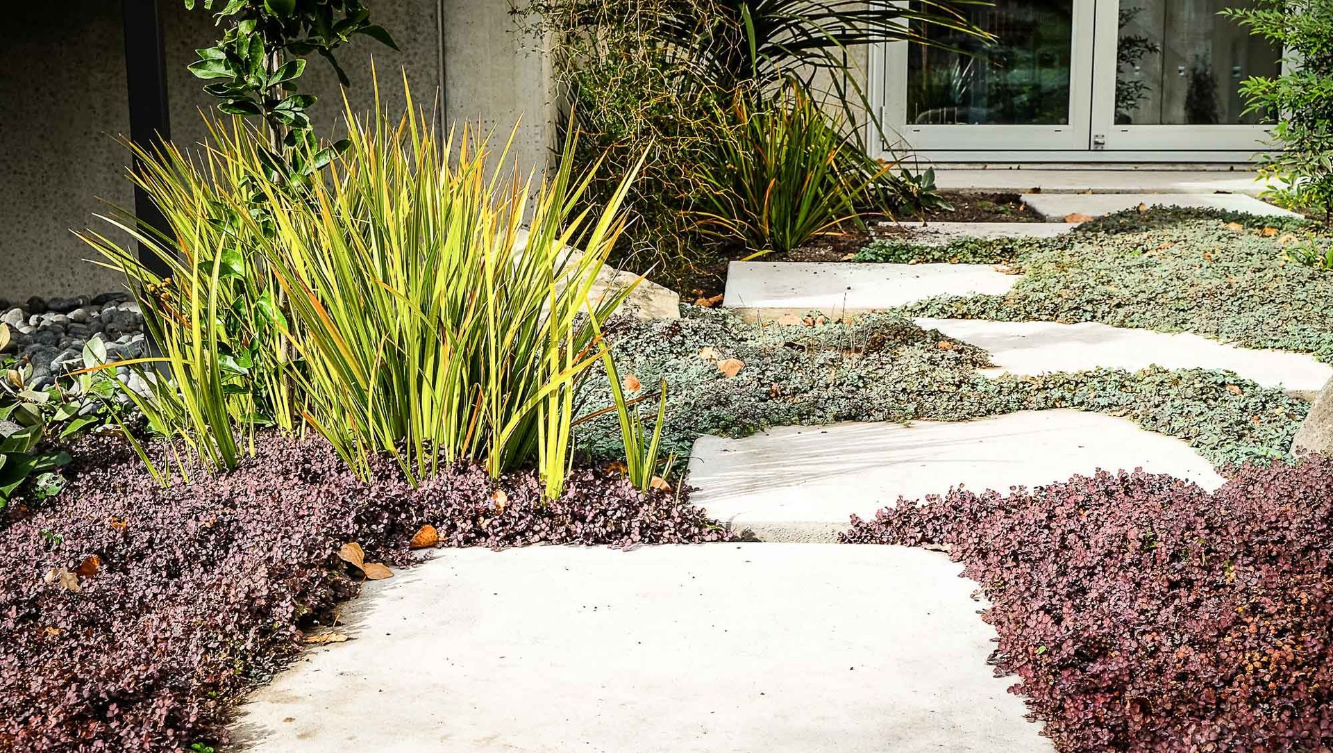 Cambridge Terrace banner