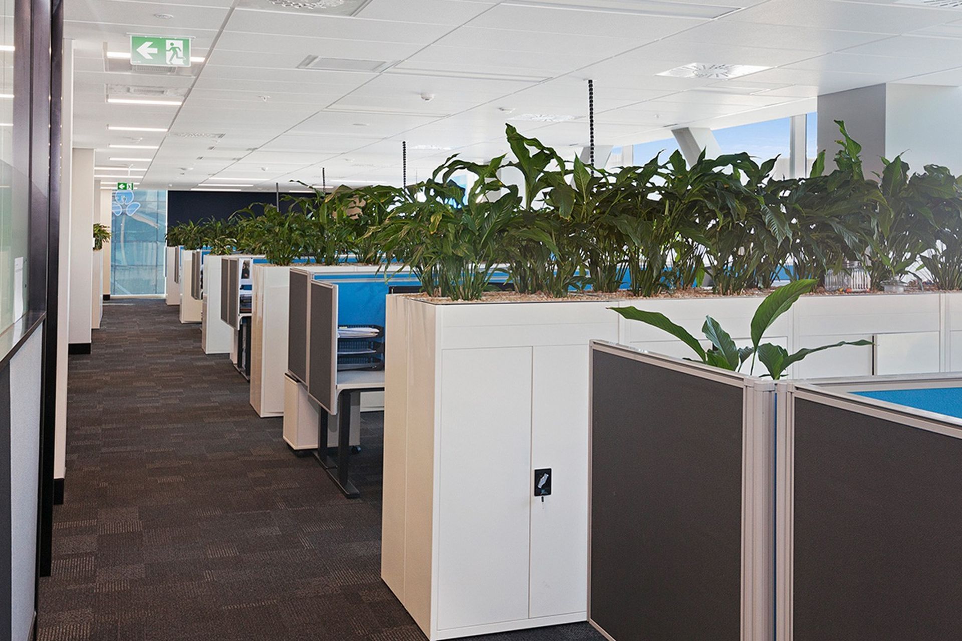 Cavell Leitch Christchurch