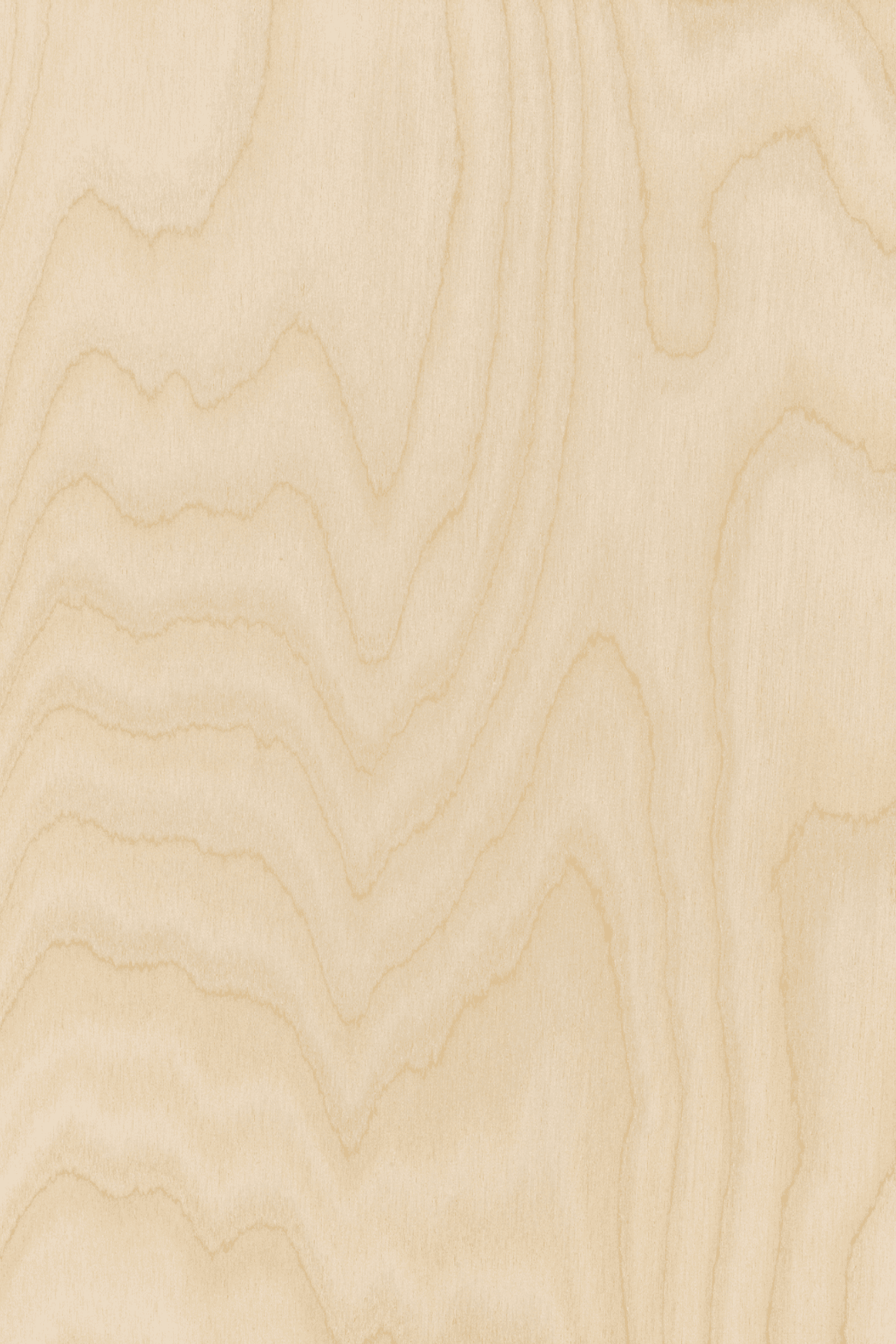 Classique Birch Pre | Wall & Ceiling Linings