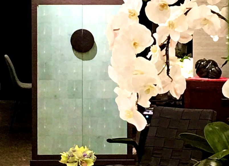 Gallery & Boutique, Auckland, New Zealand -  Winner Speciality Retail  | RED Design Awards 2019