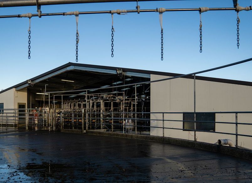 Cowshed, Christchurch