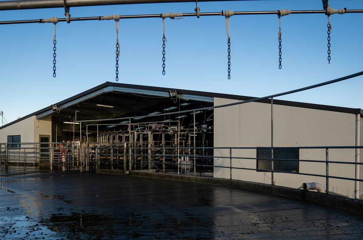 Cowshed, Christchurch