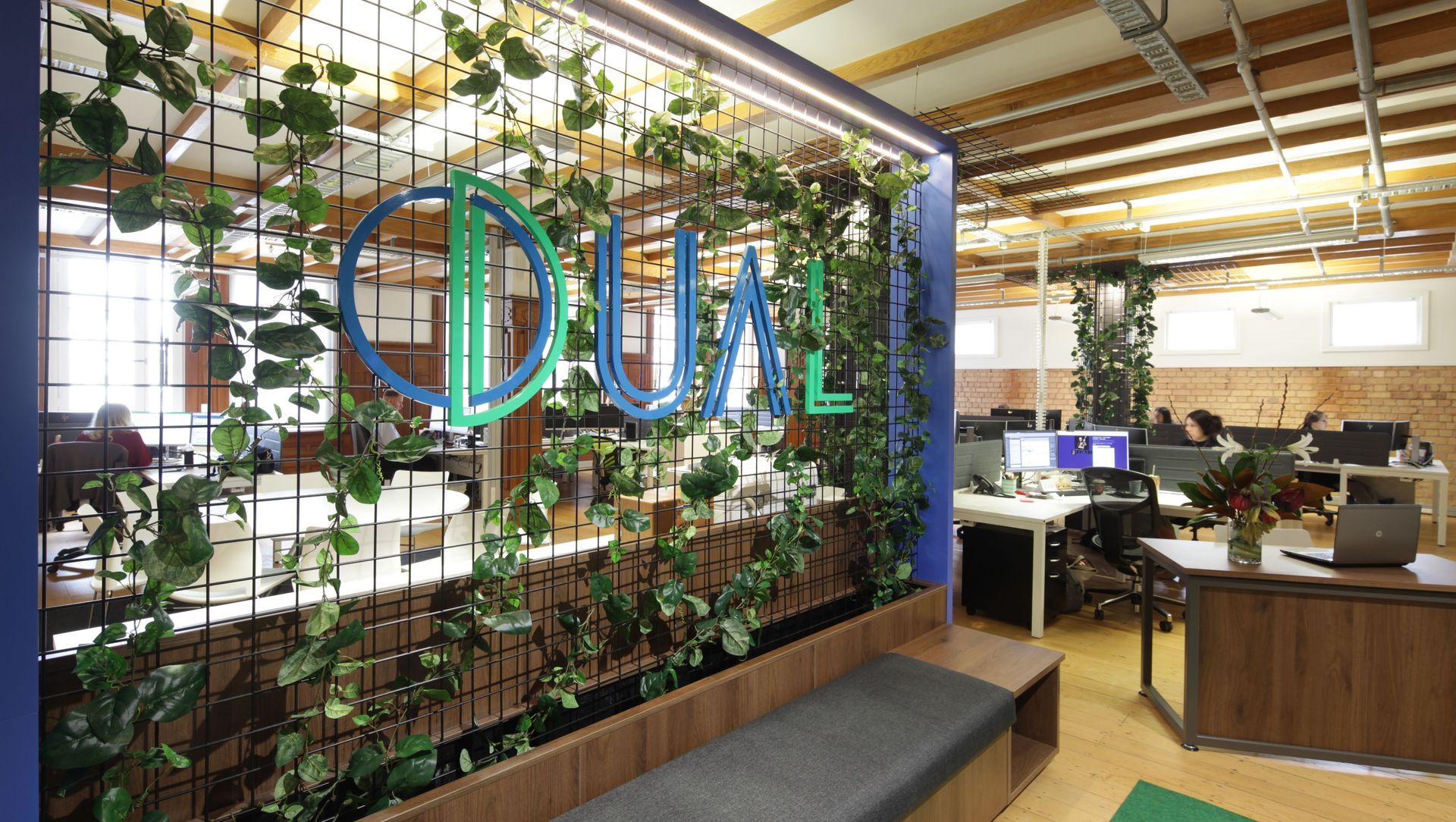 DUAL New Zealand banner