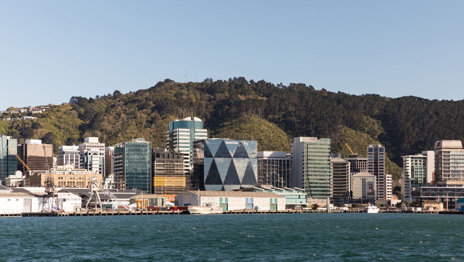 Deloitte Wellington by Studio Pacific Architecture banner