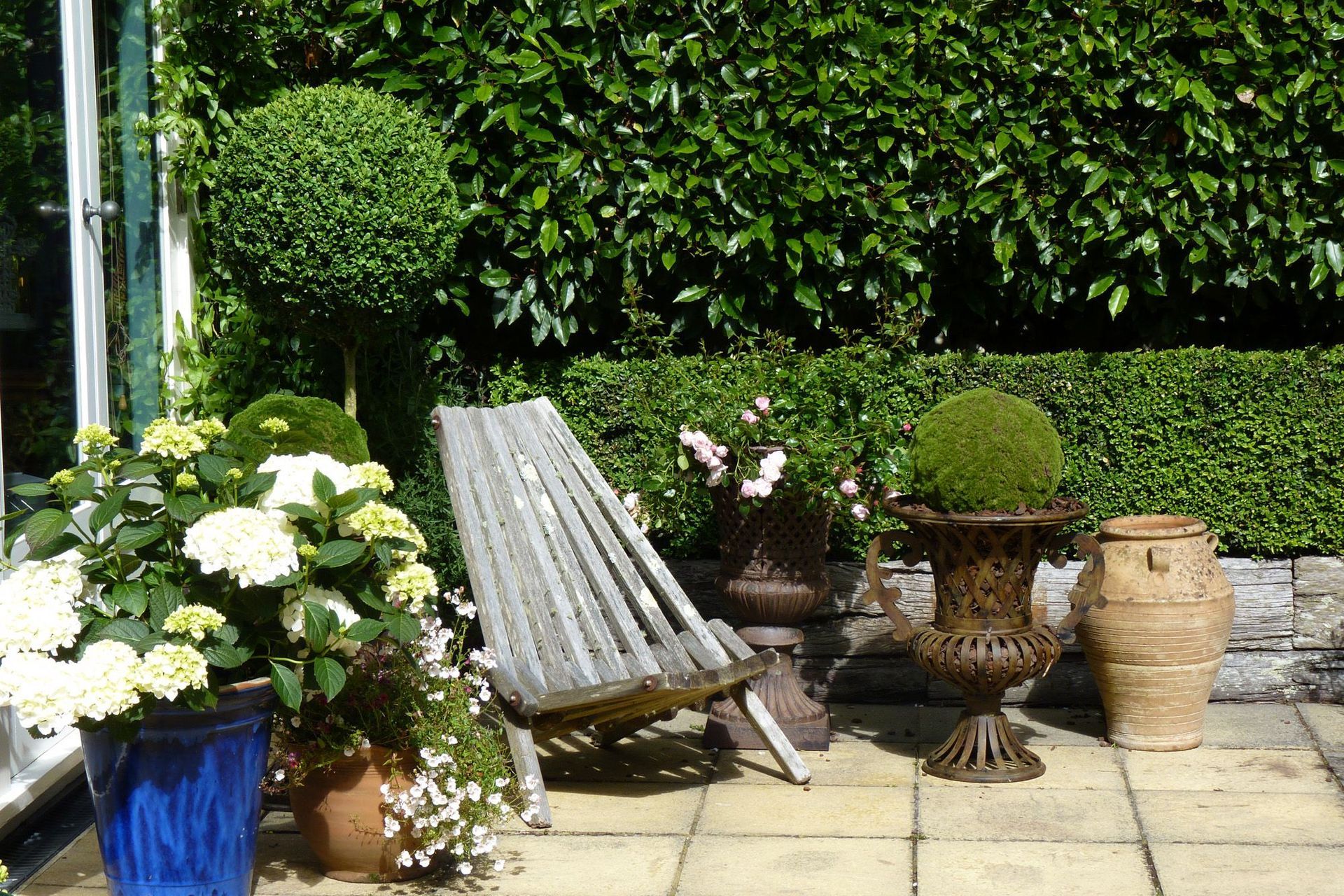 Topiaries &amp; hydrangeas in pots