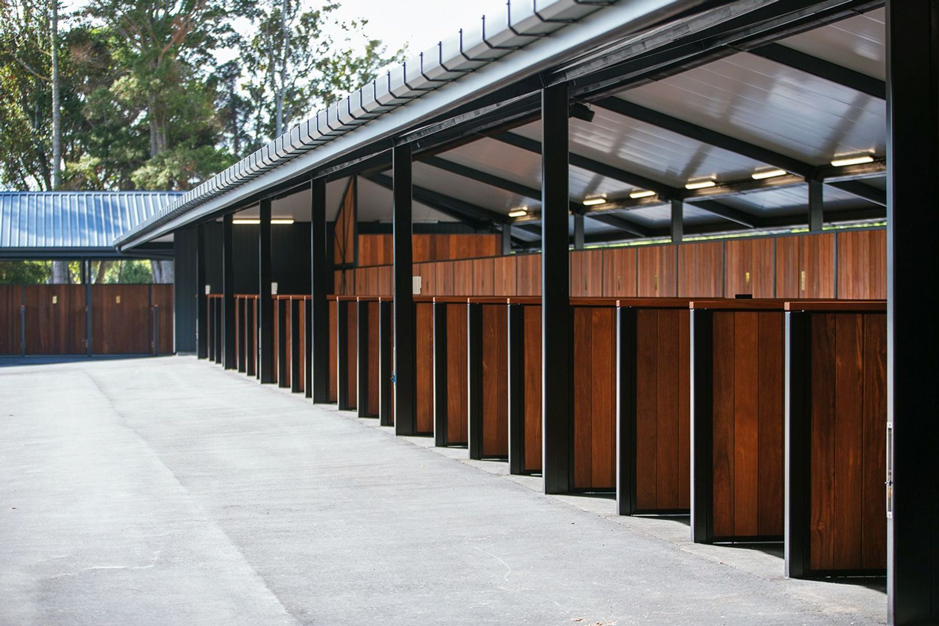 Images courtesy of Auckland Racing Club.