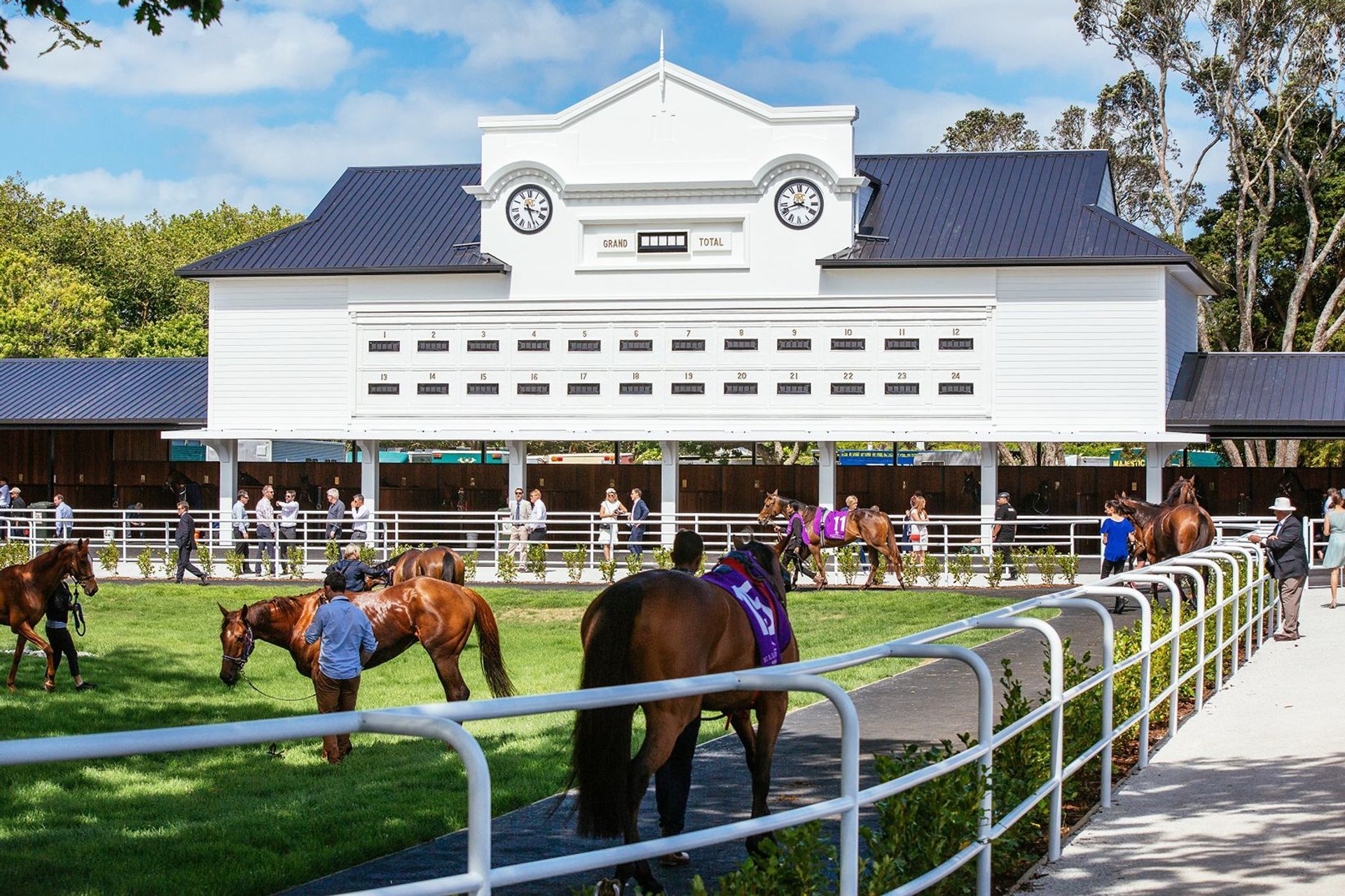 Images courtesy of Auckland Racing Club.