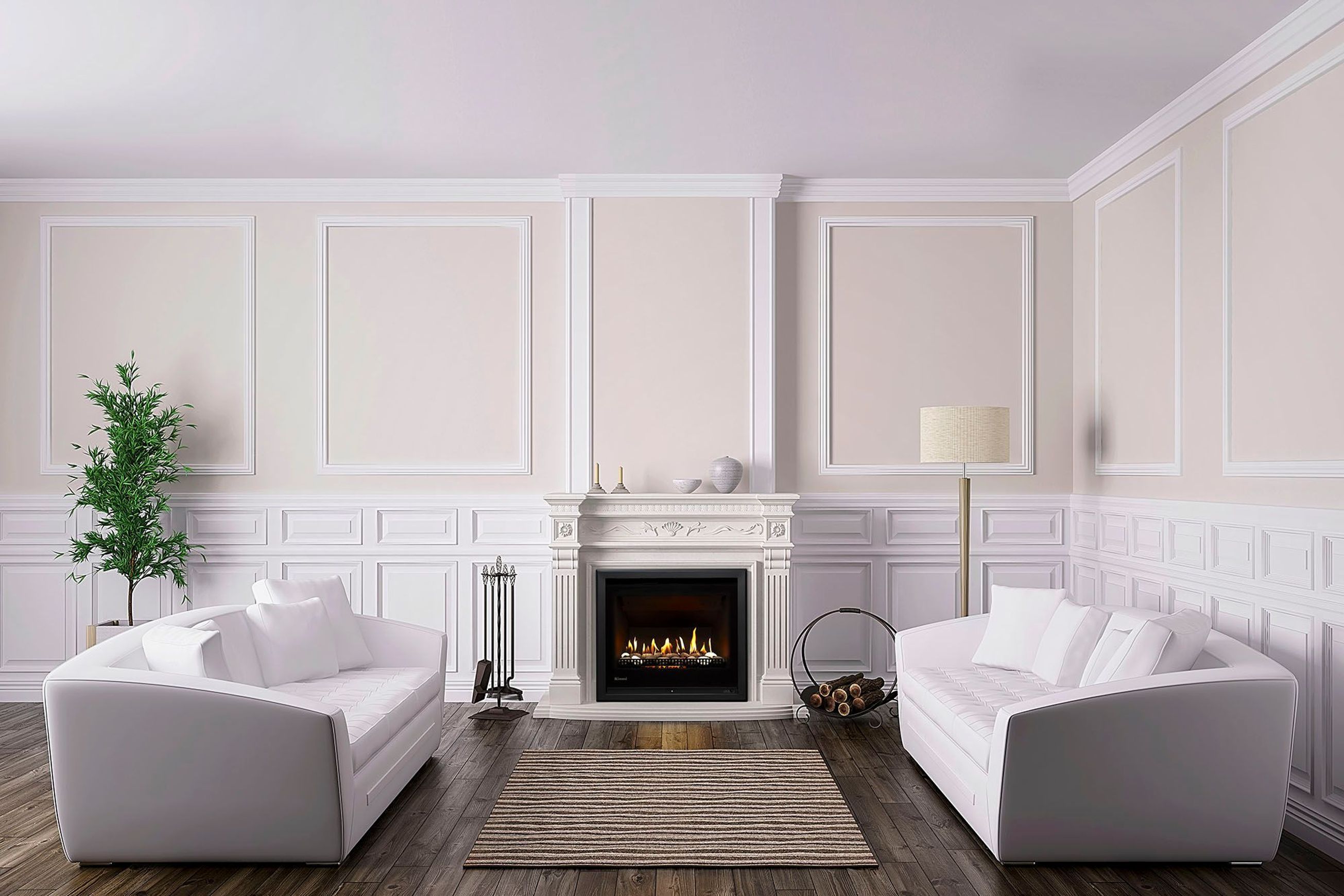 Rinnai Ember Inbuilt Gas Fireplace