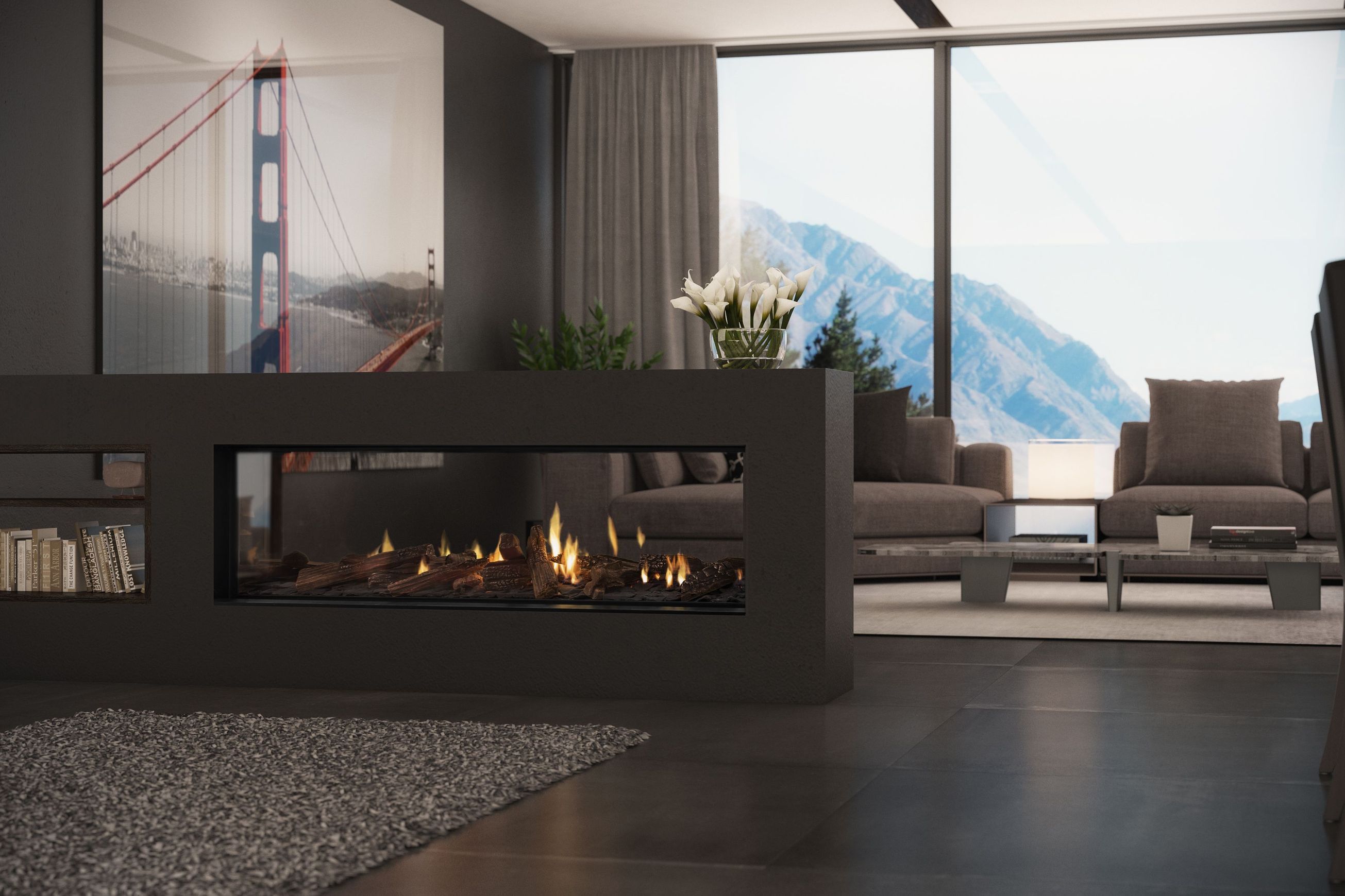 Escea DS1400 High Output Frameless Gas Fireplace