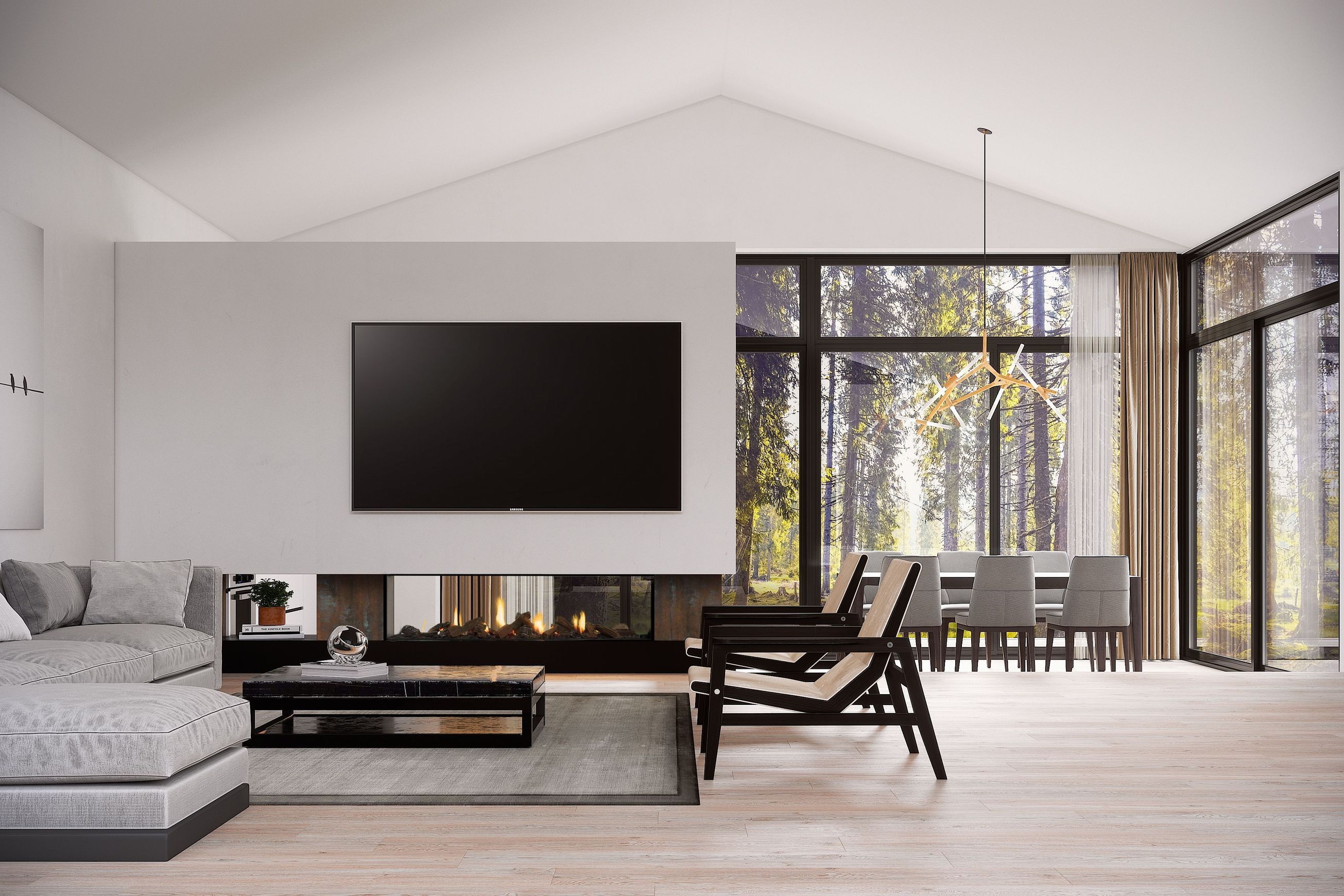 Escea DS1650 High Output Frameless Gas Fireplace
