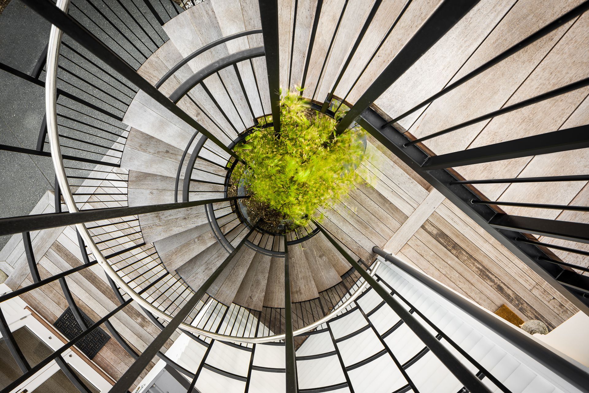 The stainless steel spiral staircase has a bamboo plant sitting within its core and connects decks from the ground-floor media room to the kitchen and dining area on the first floor.