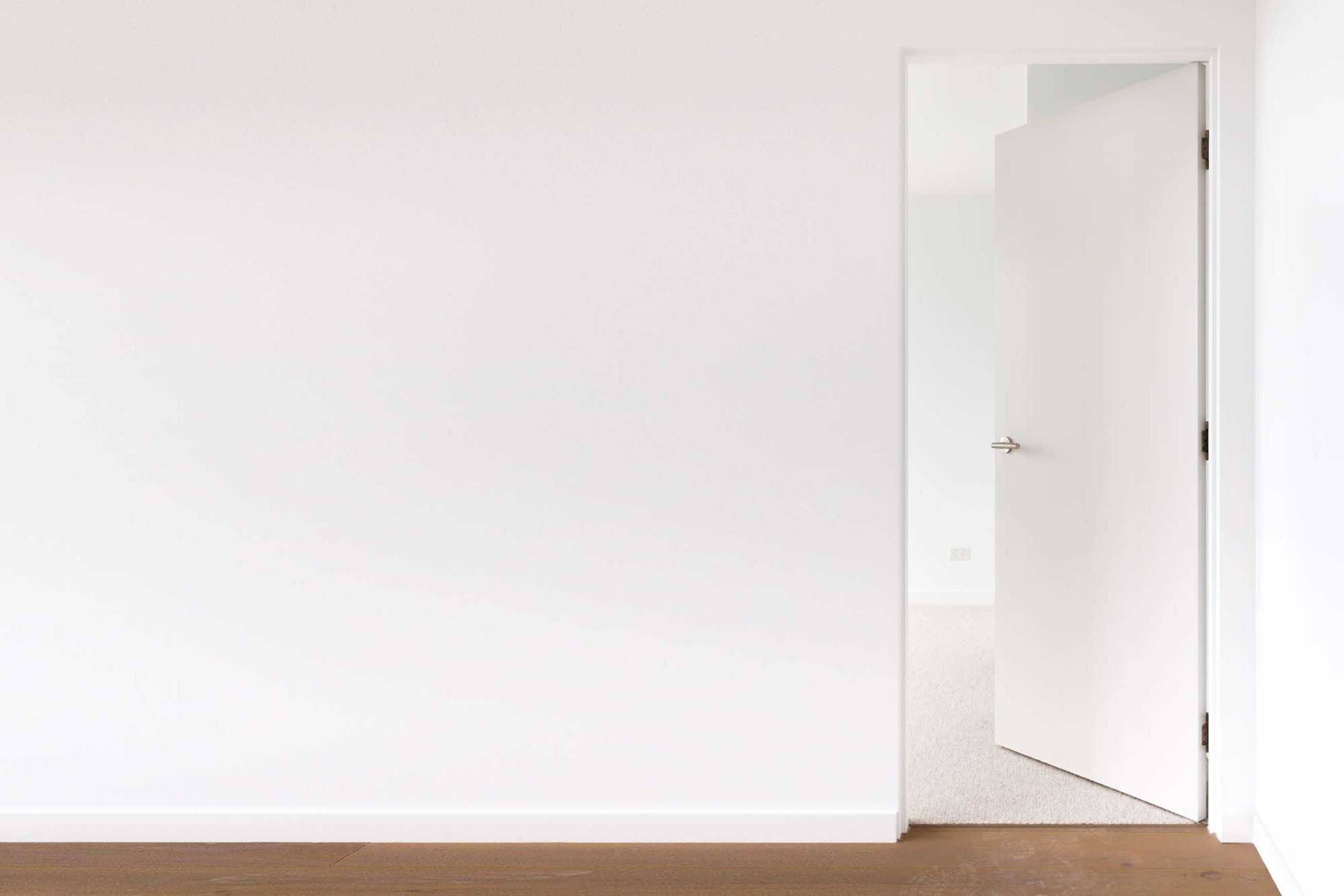 EzyJamb Classic Adjust Flush Door Jamb System