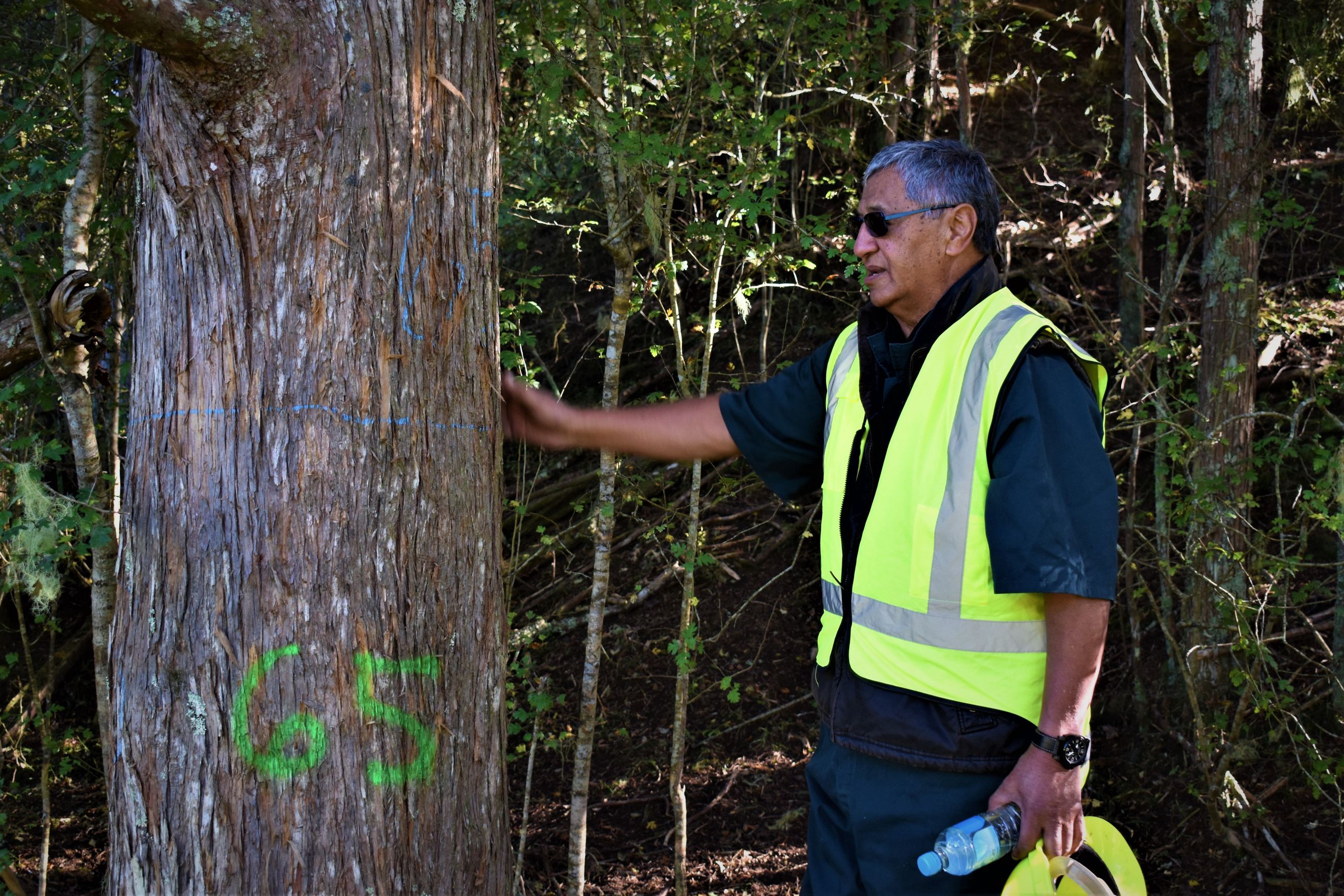 JSC Farm Totara