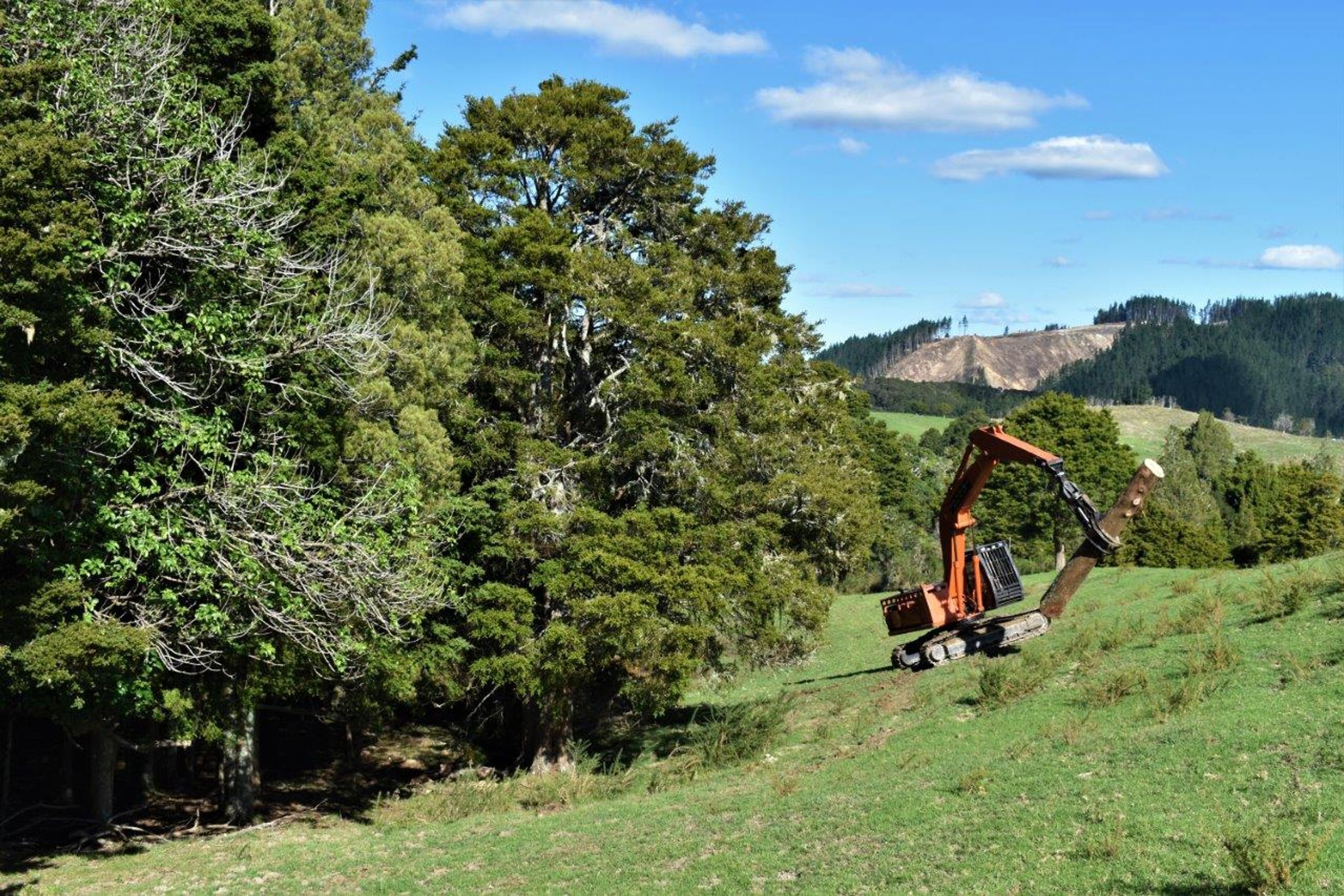 JSC Farm Totara