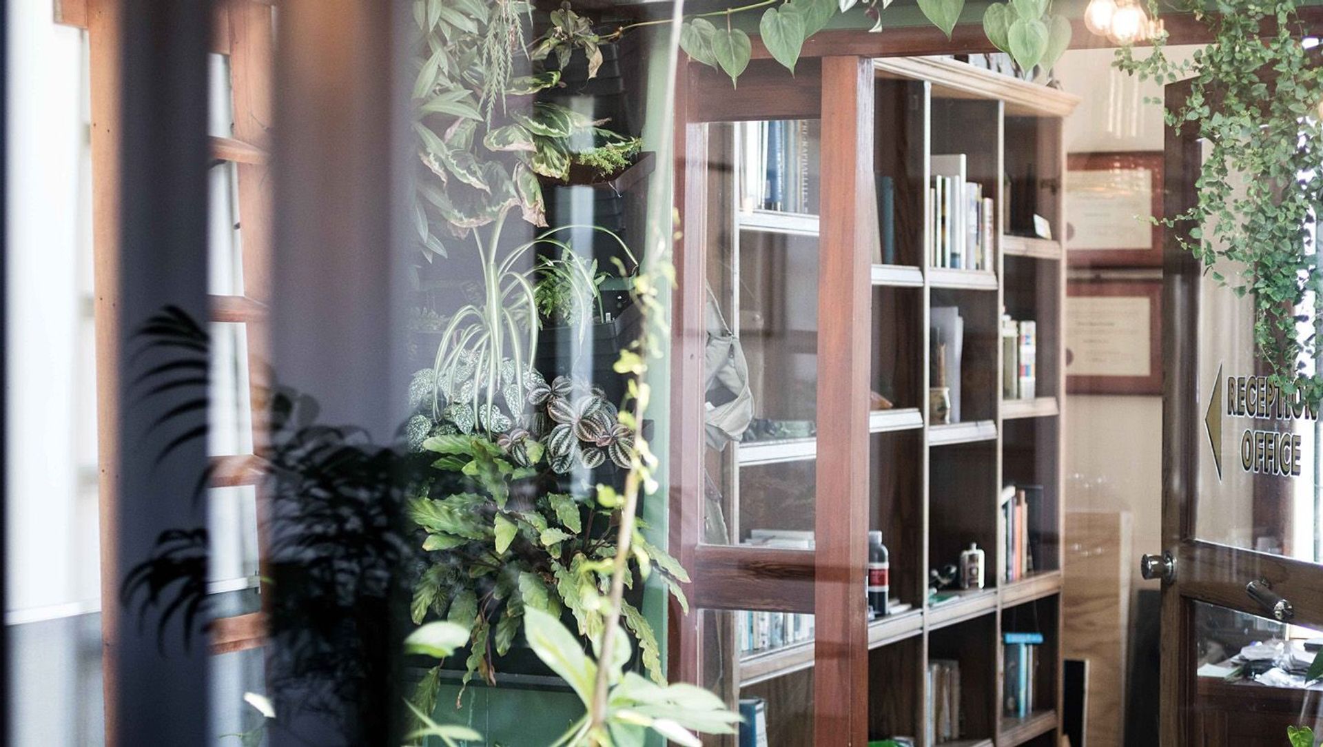 Fenton Street Art Collective banner