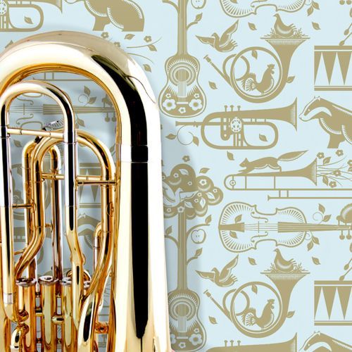  Folk Rock Collection by Mini Moderns