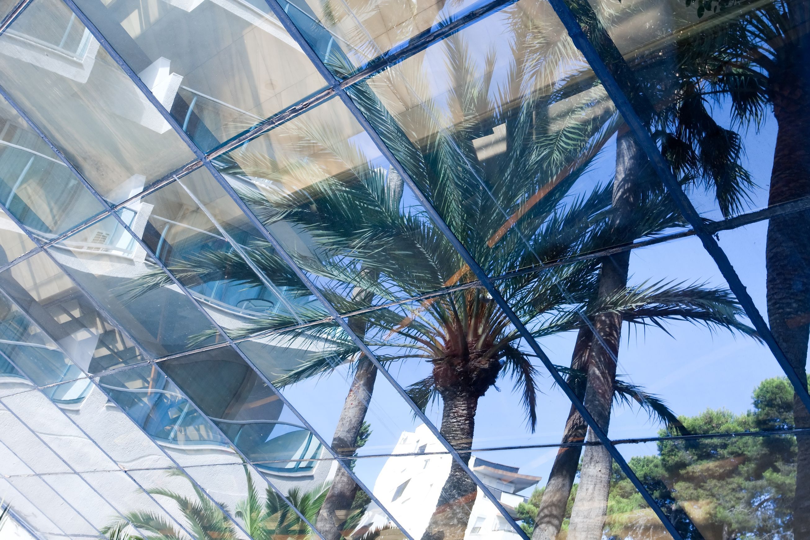 Glass Canopies