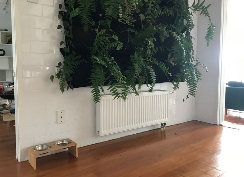 Glendowie Radiator Installation