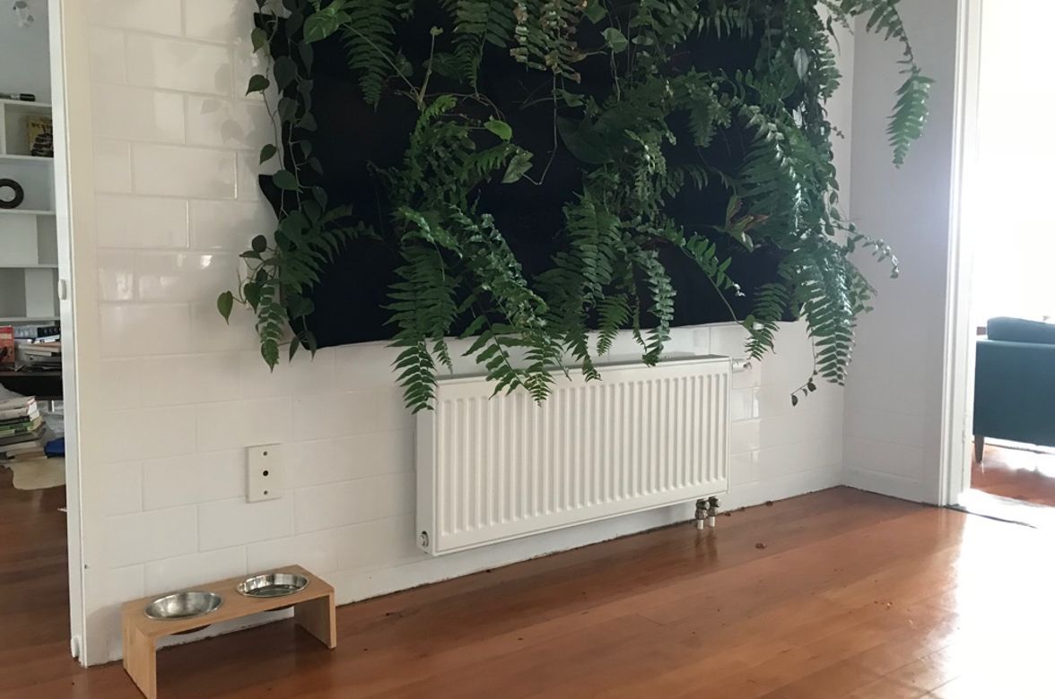 Glendowie Radiator Installation