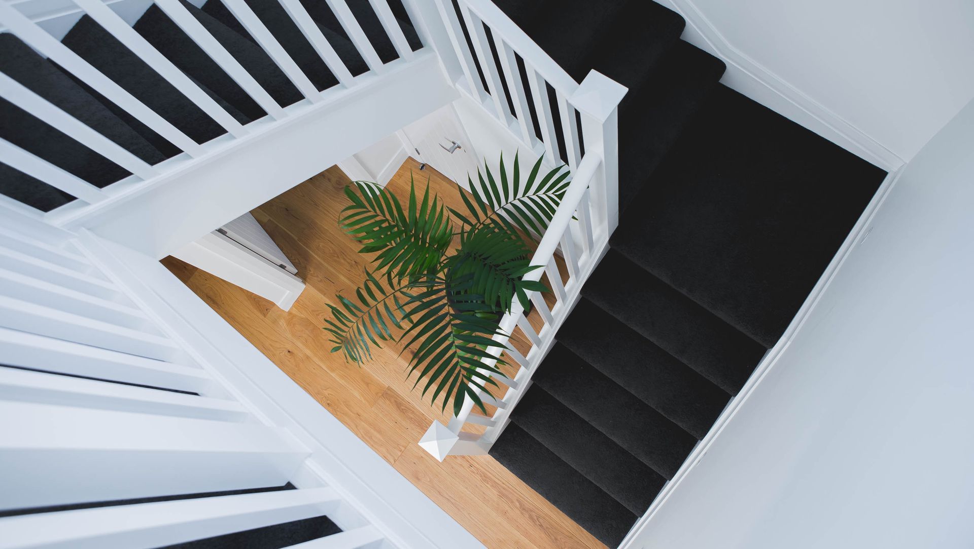 Greenlane New Build banner