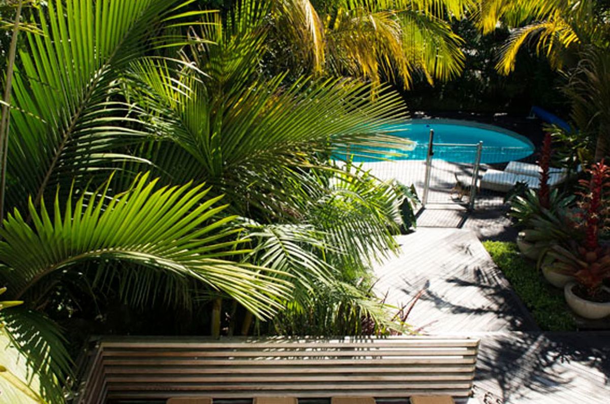 Grey Lynn Garden  
