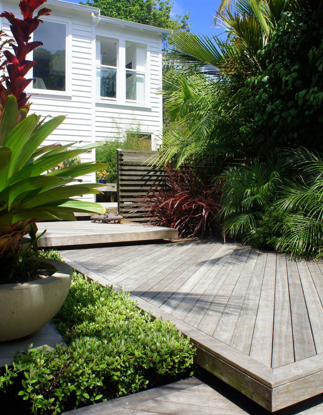 Grey Lynn Garden