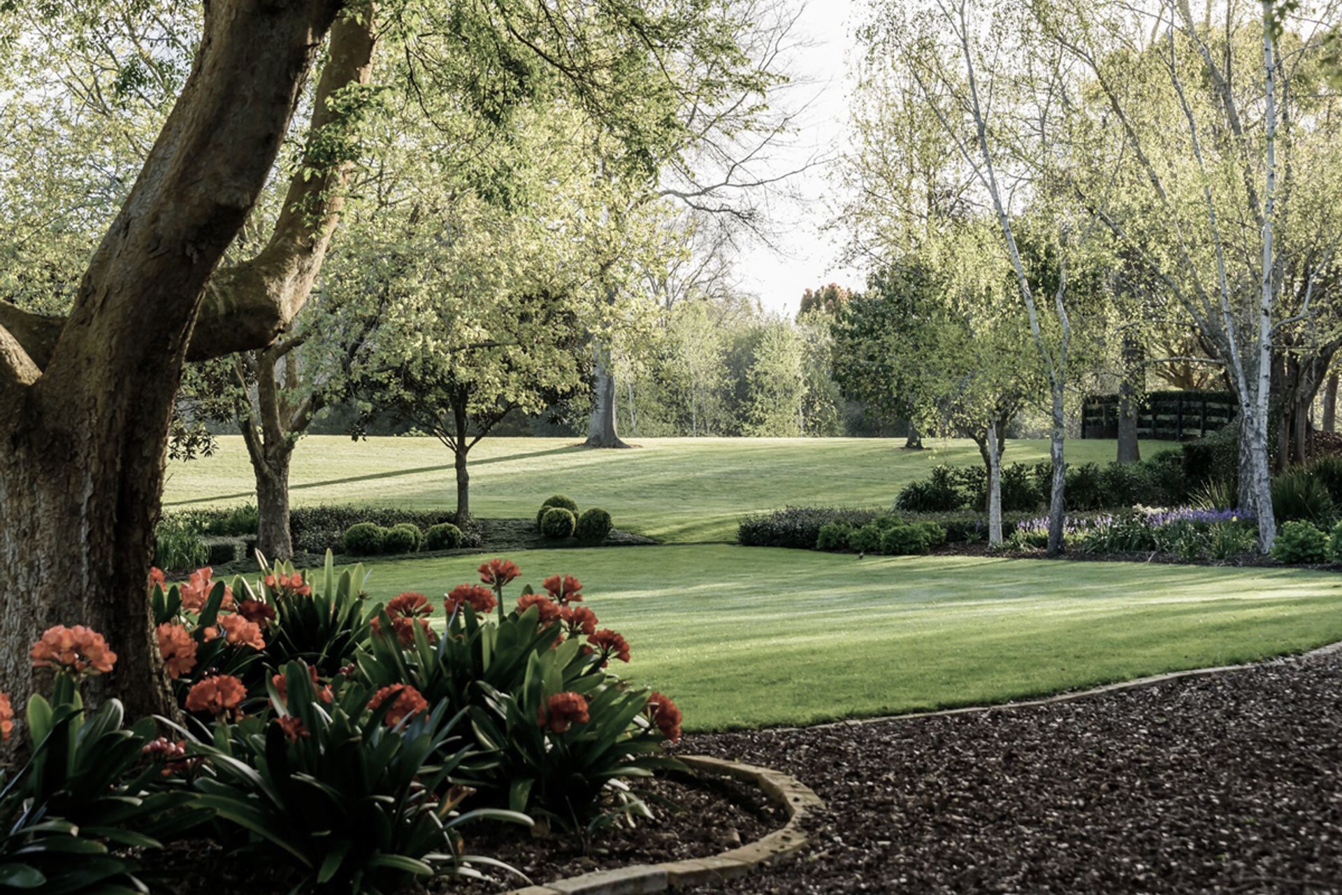 Hero Banner for Guy Brackebush Landscape Architect