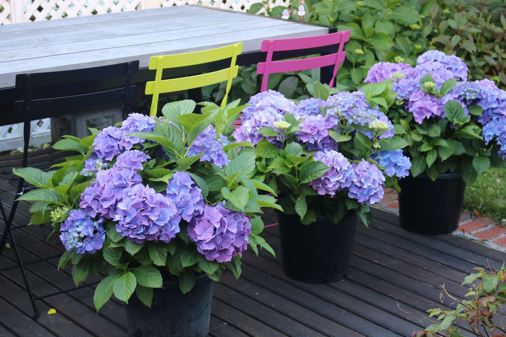 pops of colour & furniture