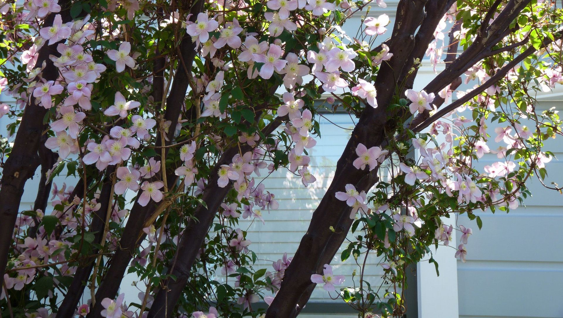 Harrold: a creative space banner