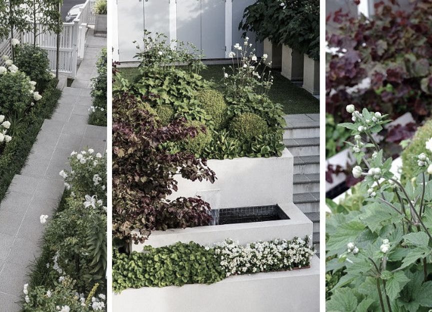 Hedge Garden Design & Nursery