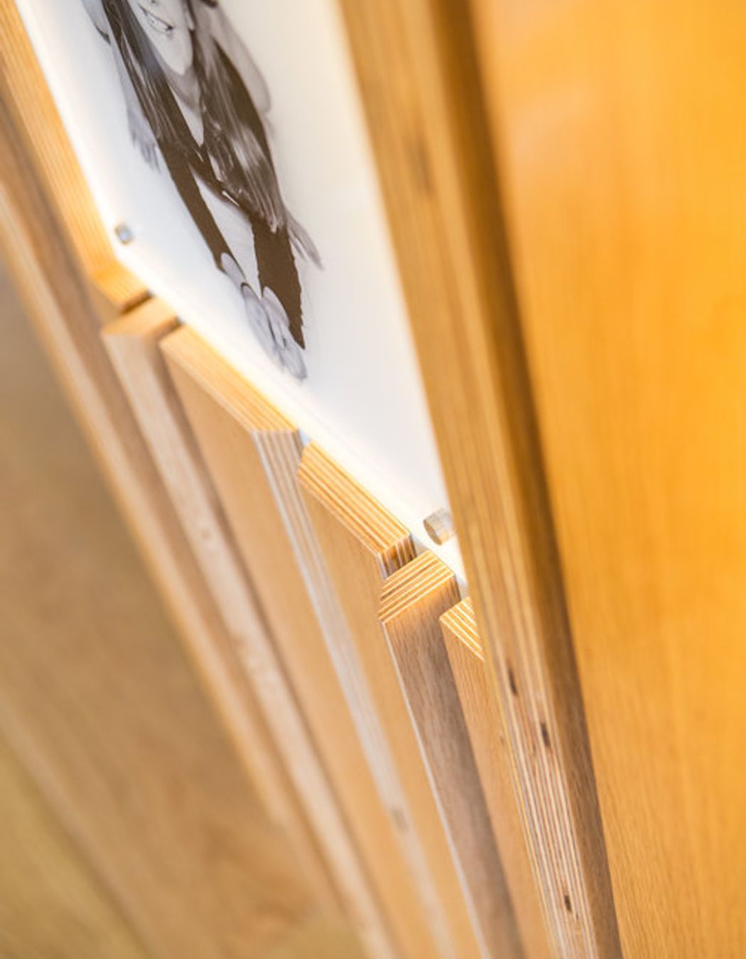 Details in the oak plywood feature wall highlight the materials.