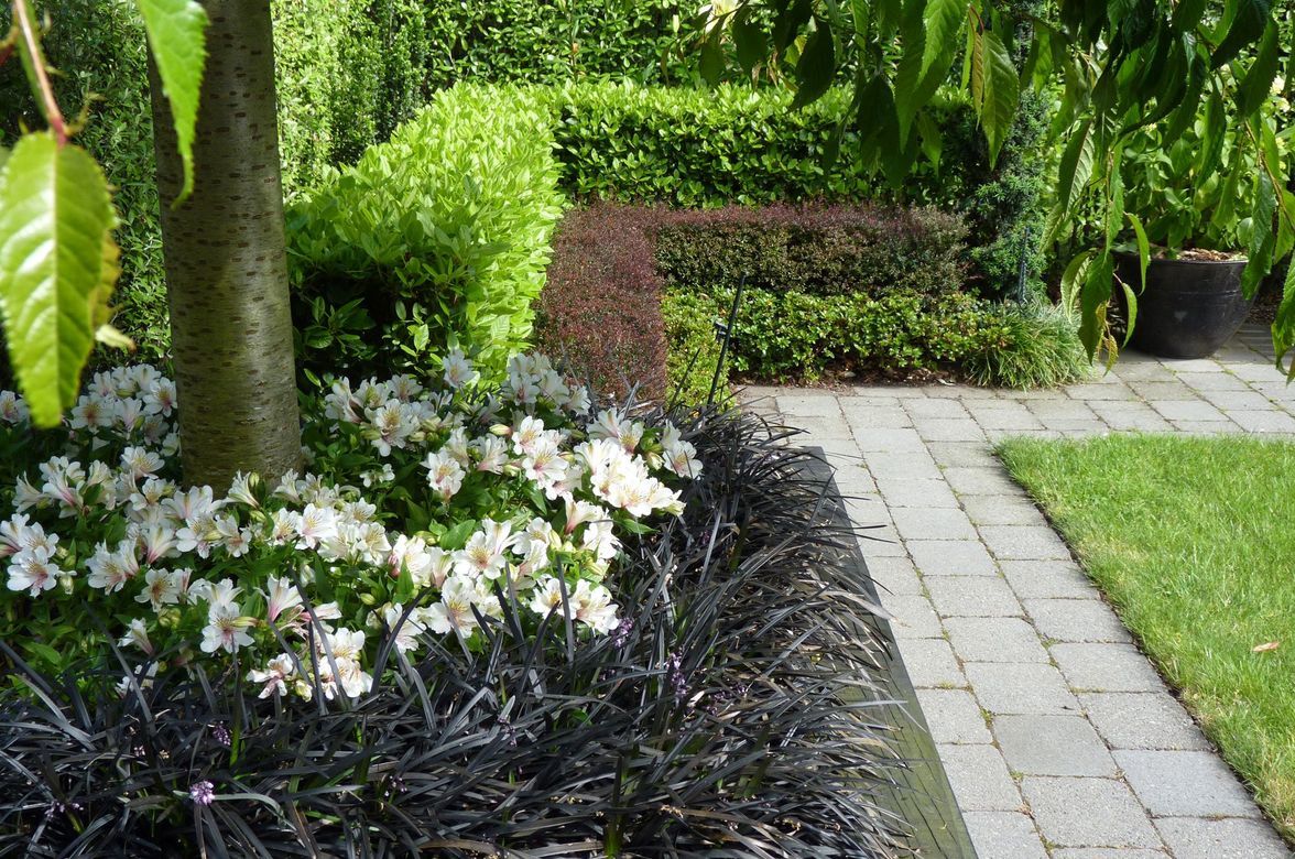 Highwic: formal apartment garden