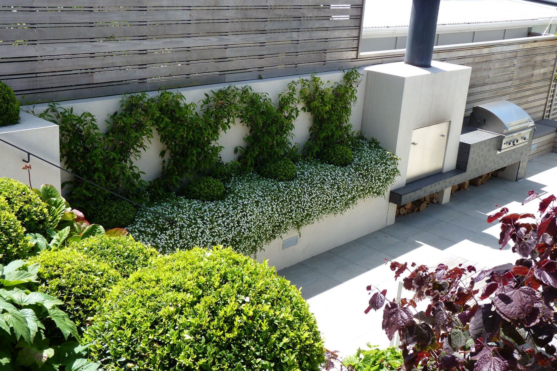 Outdoor BBQ, fire place &amp; feature planting espaliered Chinese Star Jasmines. Architecture &amp; associated landscape architecture by Tse : Wallace Architects.