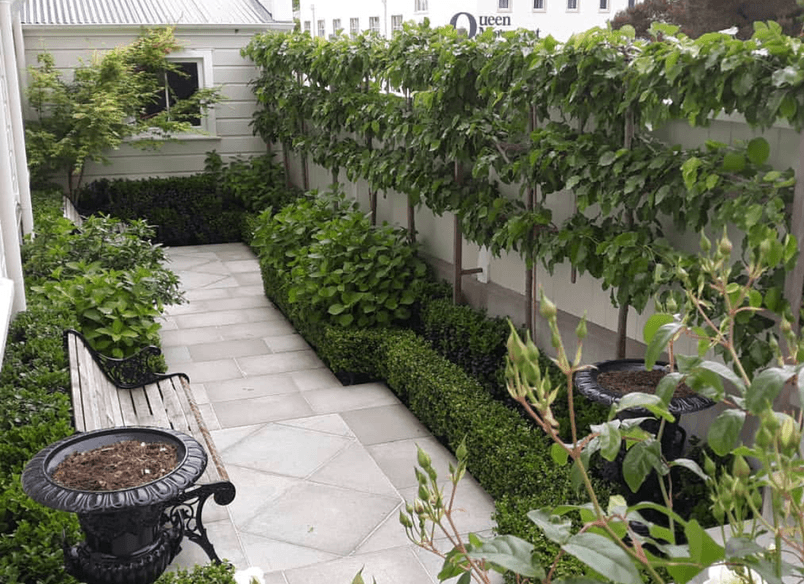 Hobson: an architect's garden