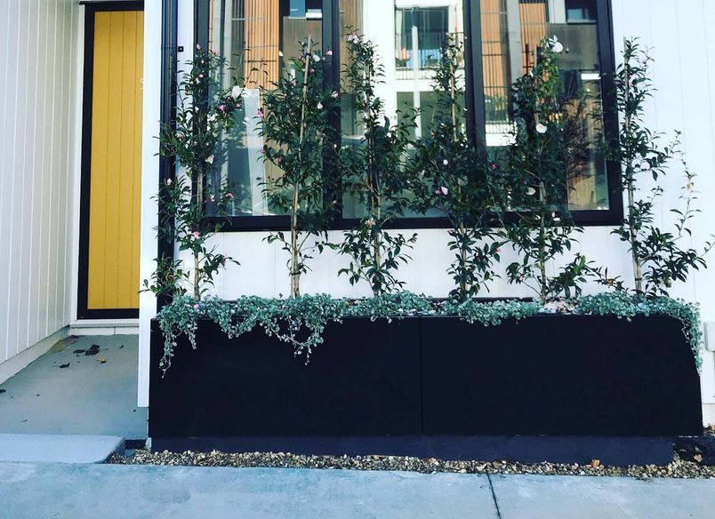 Hobsonville Point Jalcon Homes