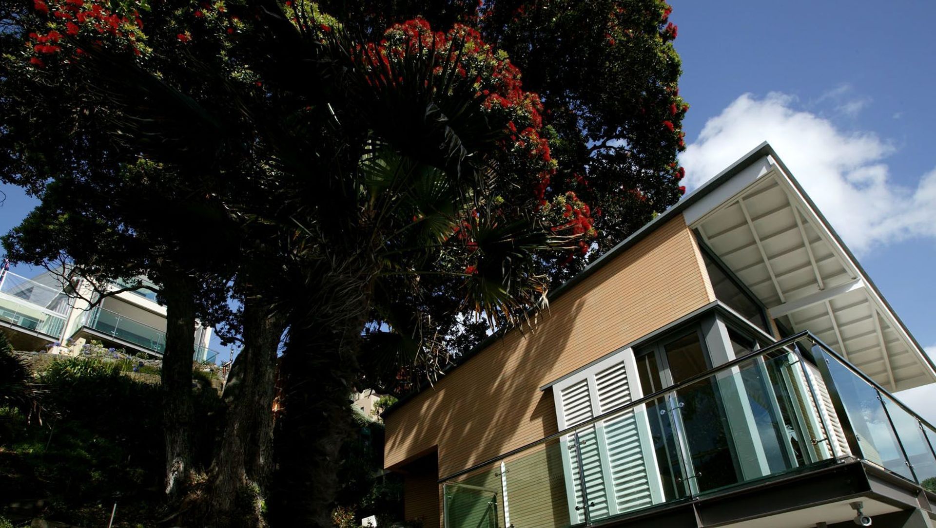 House at Black Rock banner