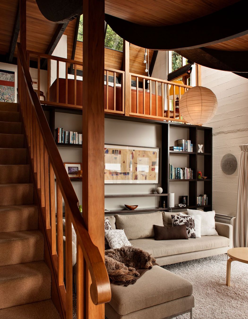 interior living spaces + dog