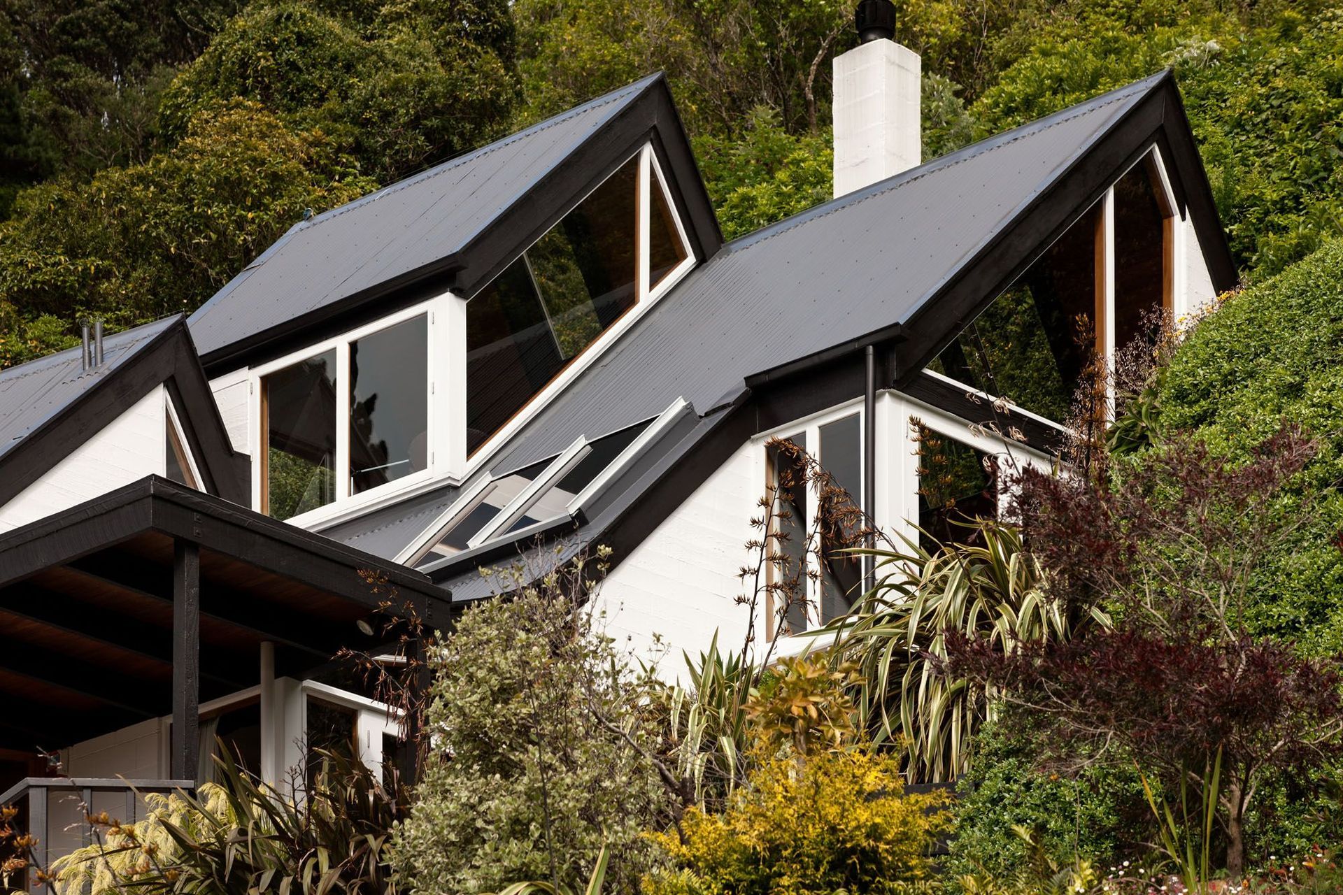 house nestled into the bush