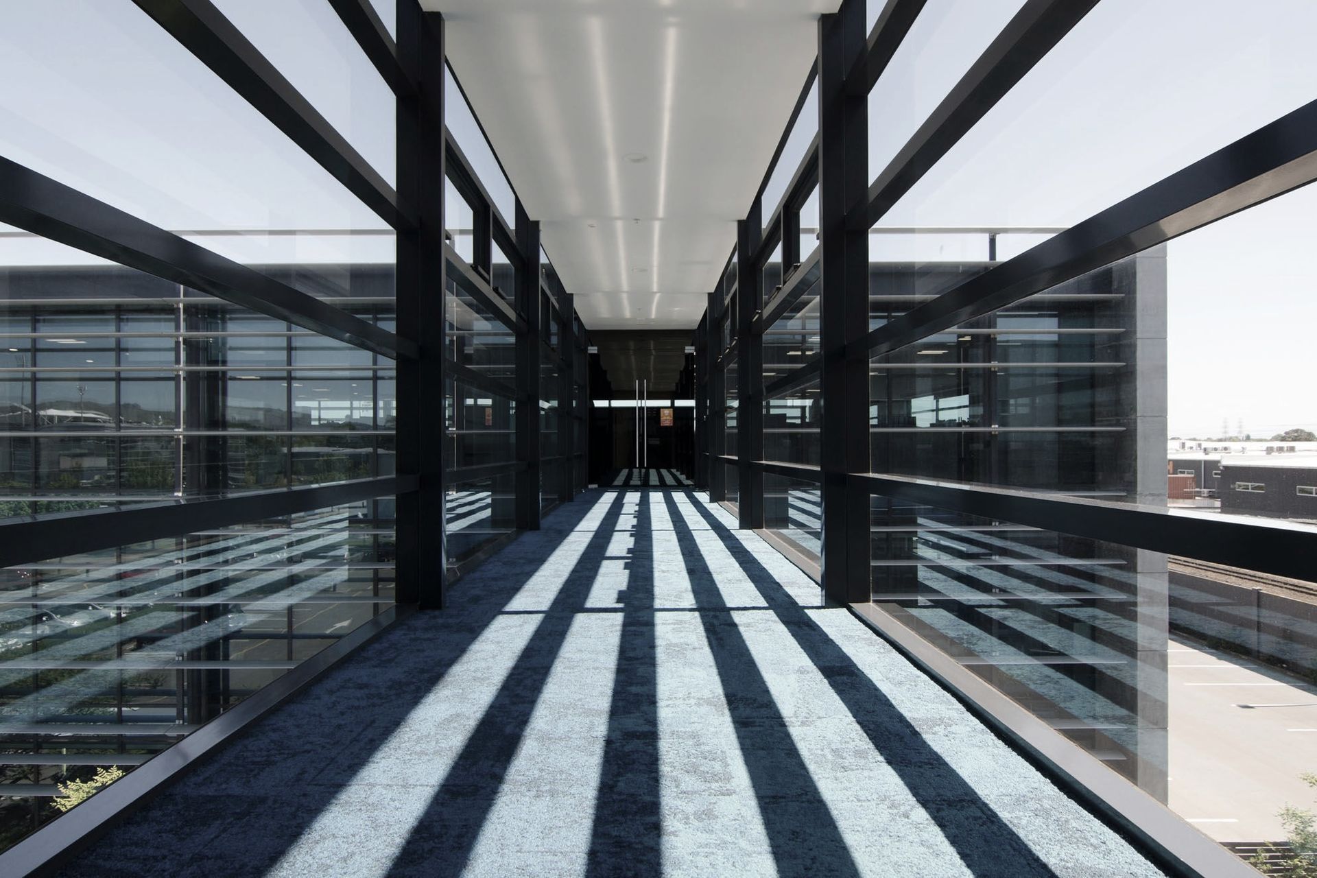 Pelorus Architecture banner