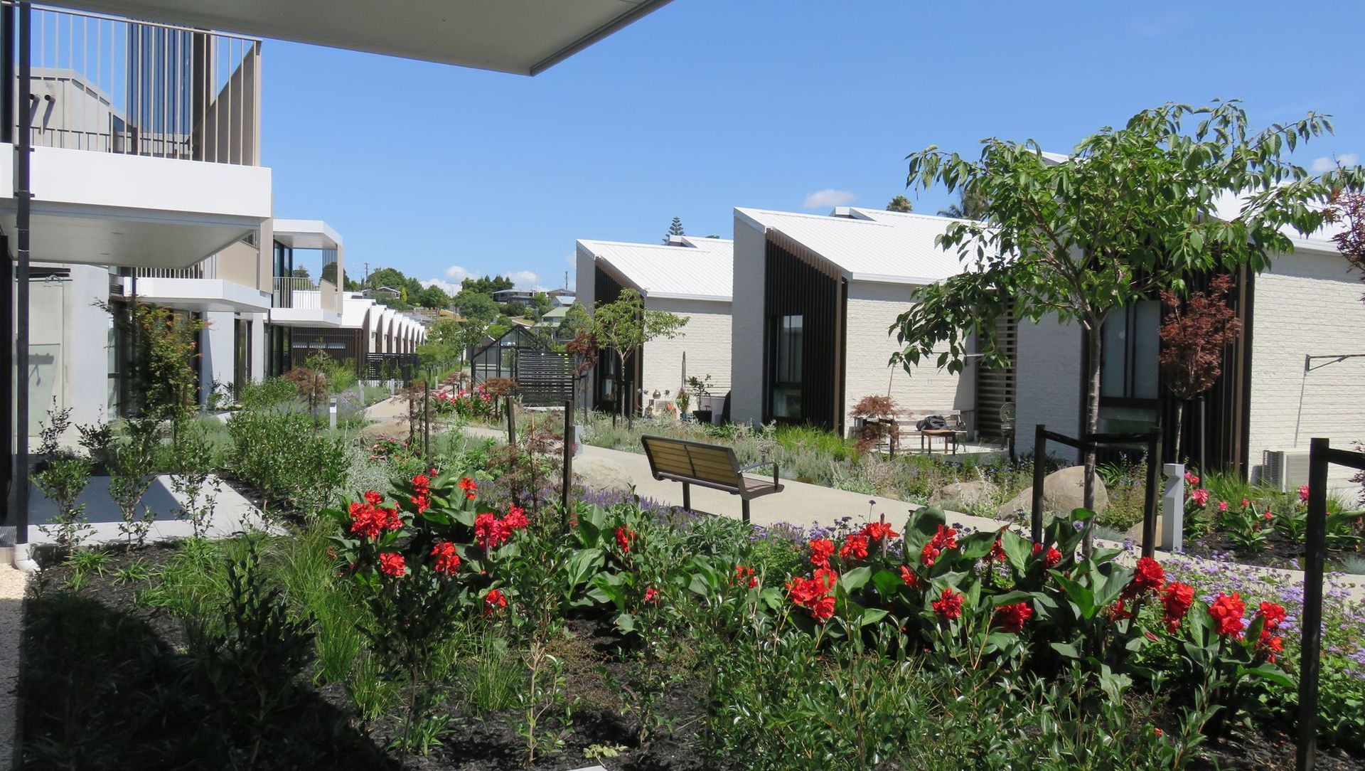 Metlifecare Gulf Rise banner