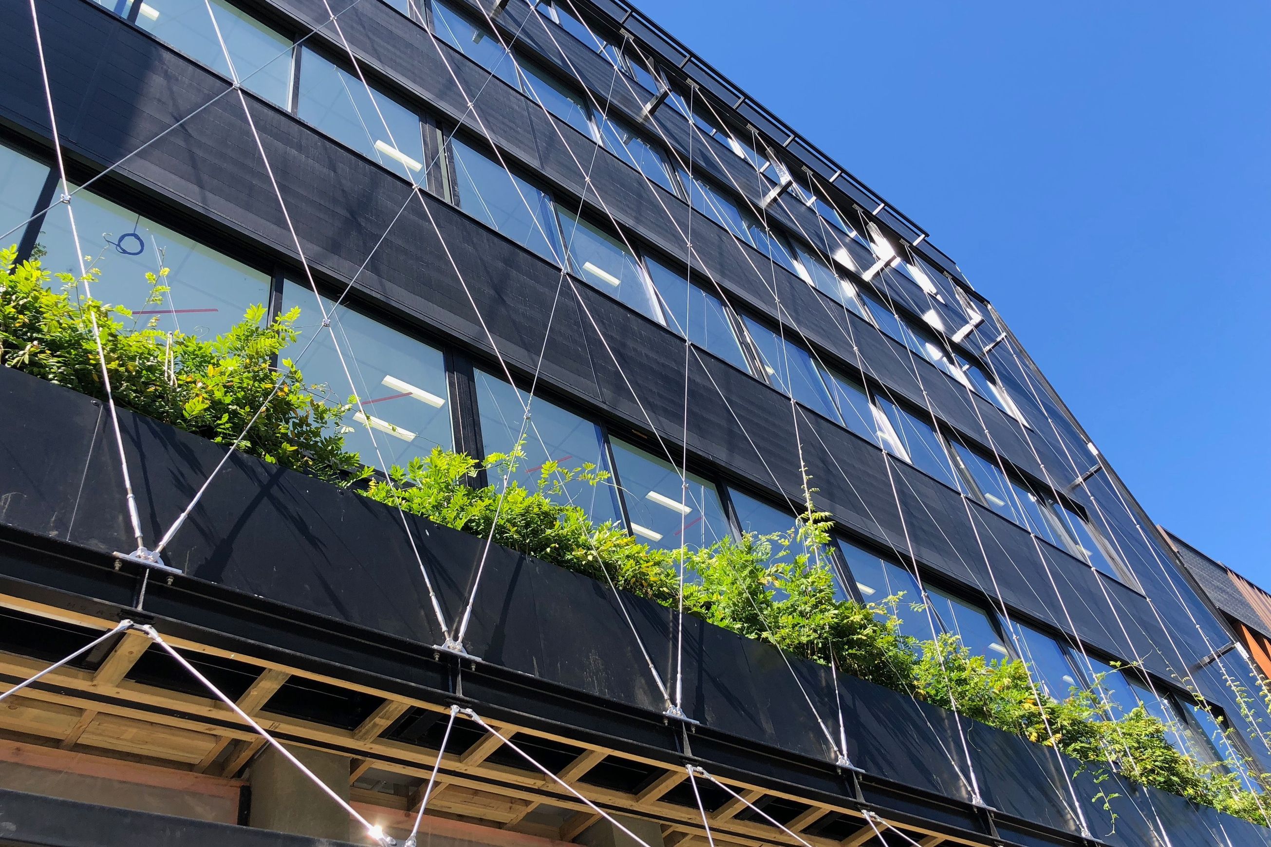 SRS Green Facades | Screens