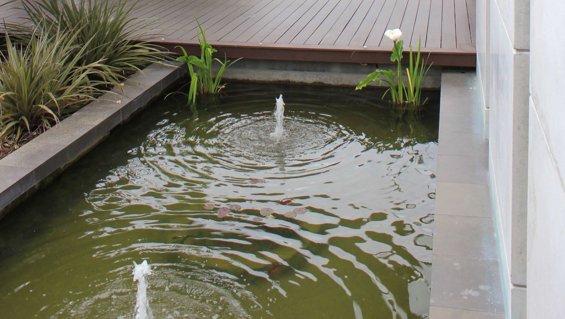 Clearwater Residence banner