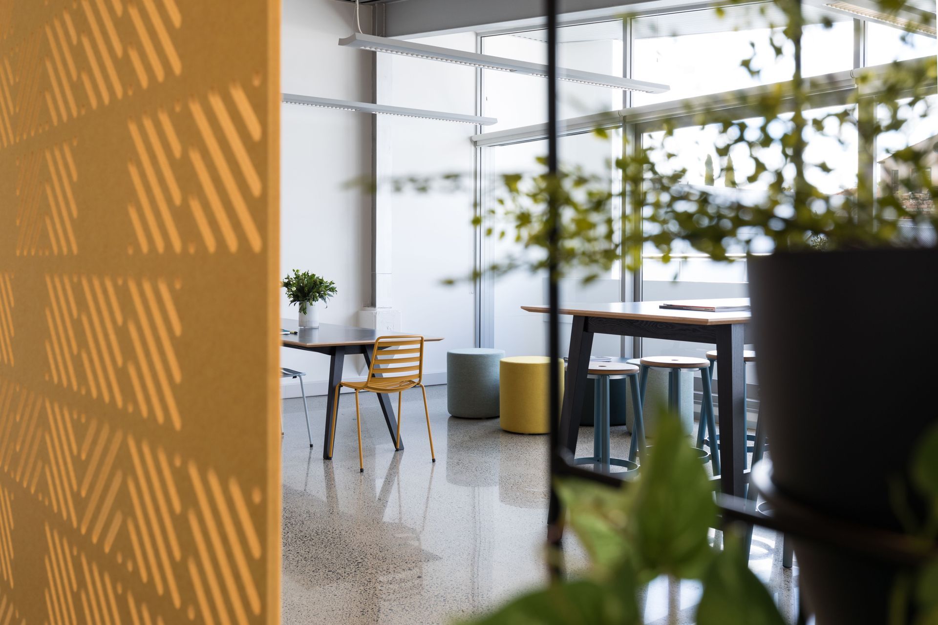 Indoor/outdoor chairs allow flexibility from breakout space to outdoor deck. Colour and planting soften an otherwise hard-lined space.