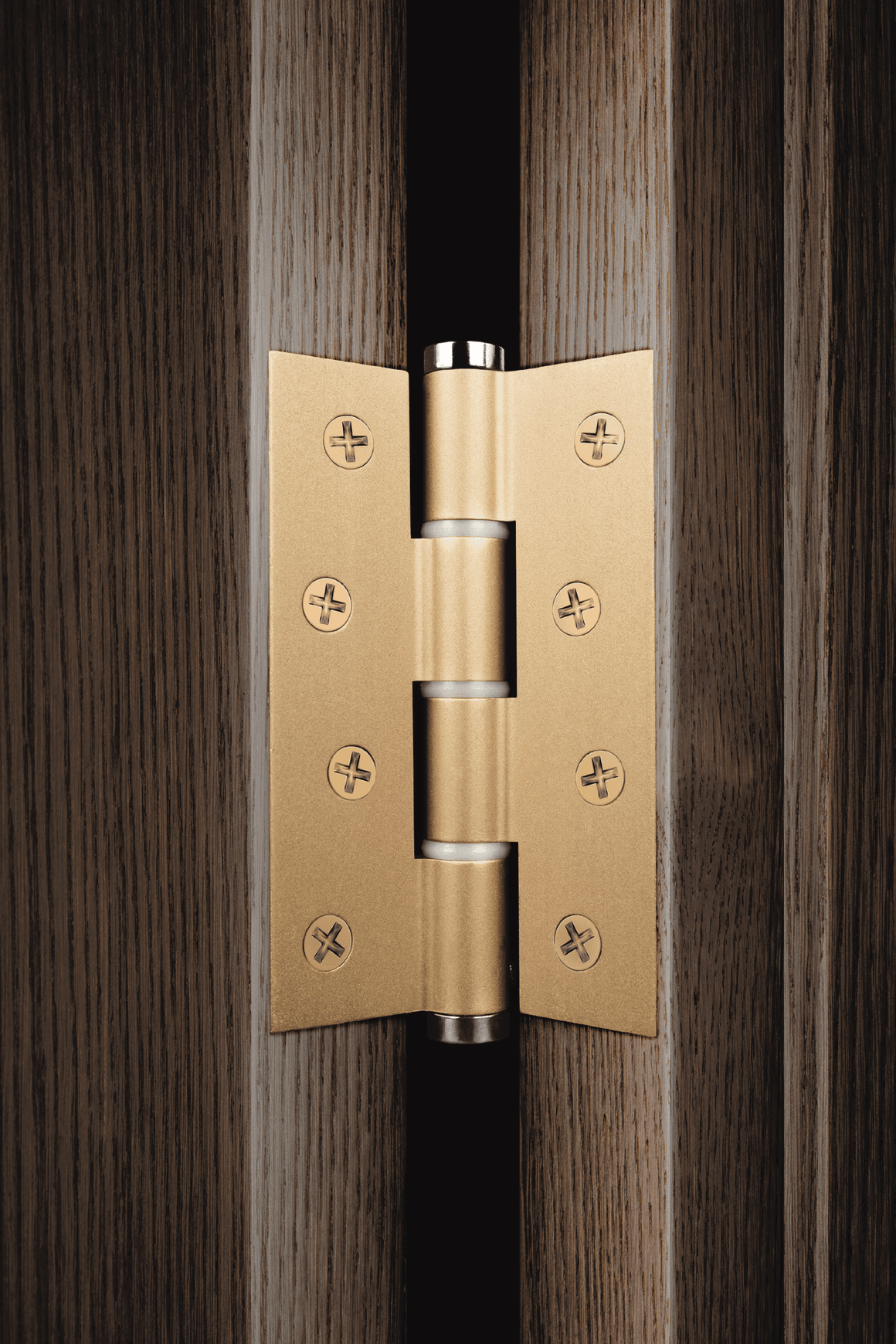 Justor Spring Hinges