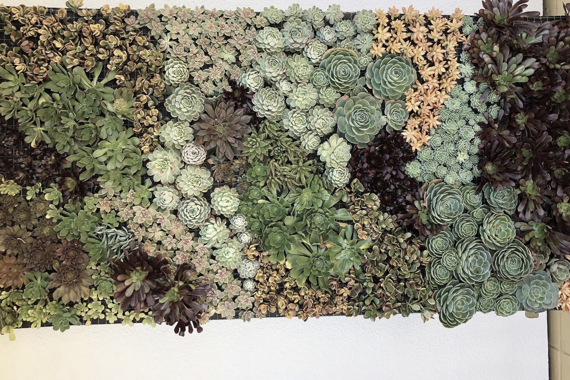 Hero Banner for Industry Landscapes