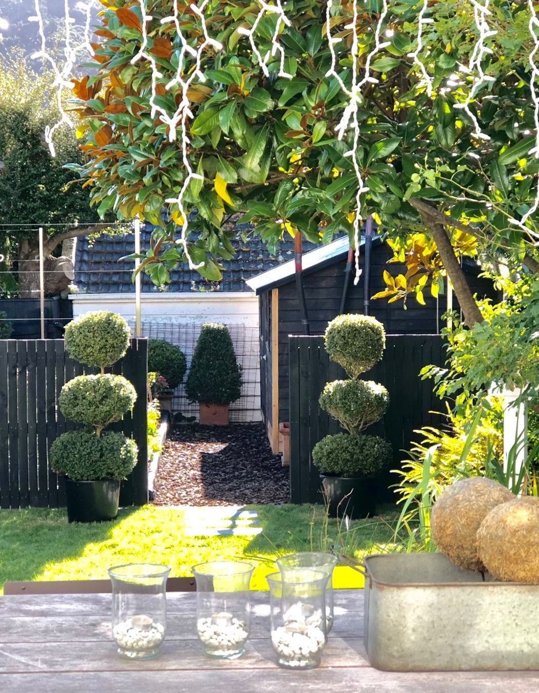 View from the kitchen