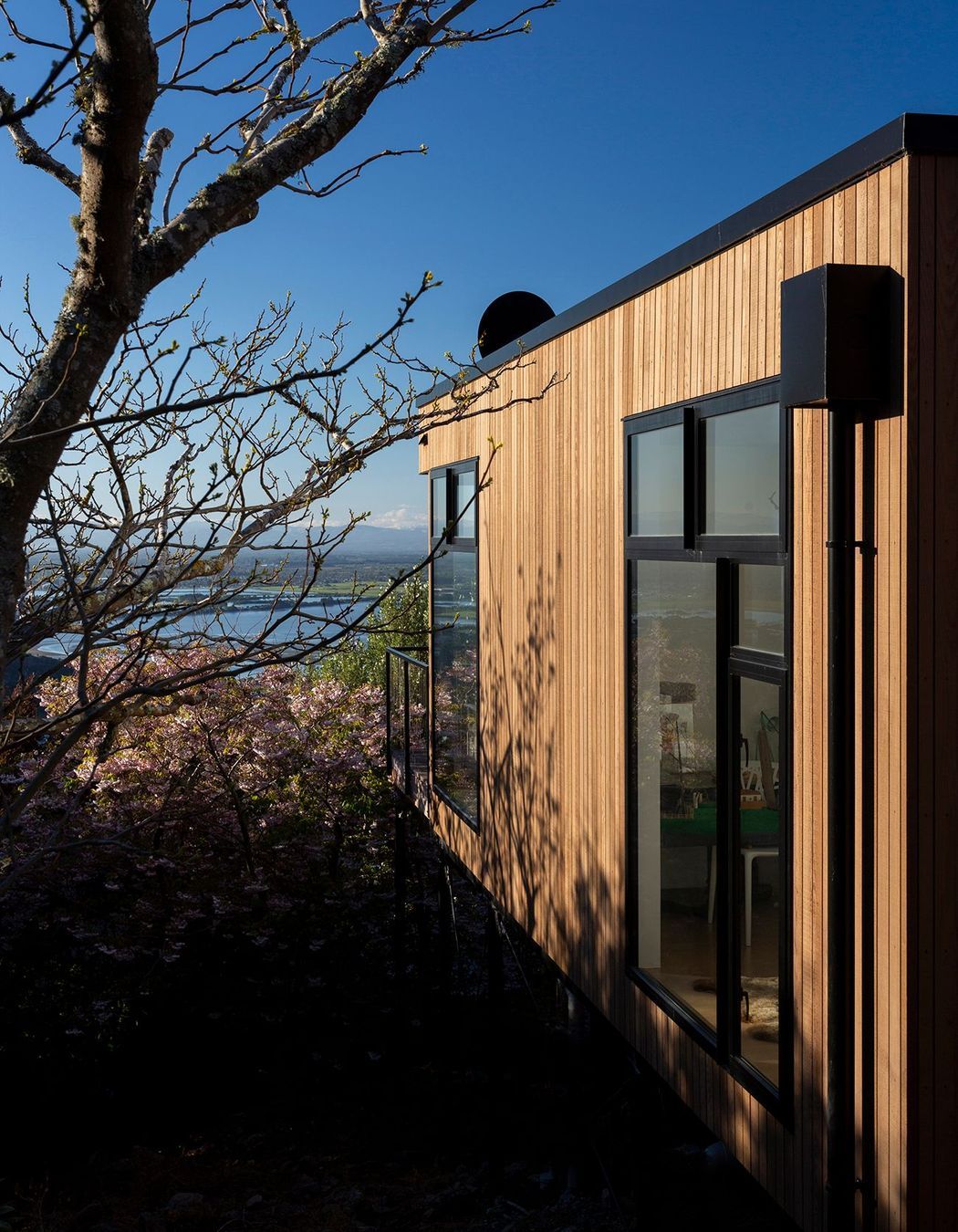 Looking down the side of the house at the view.