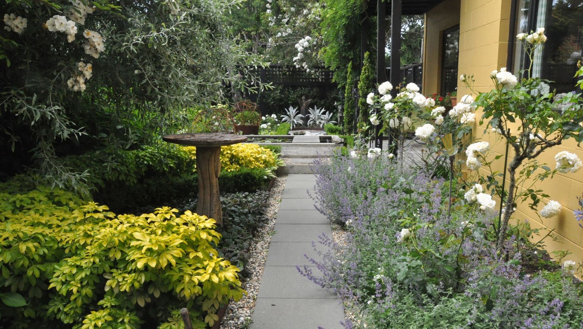 Box Hill, Khandallah banner